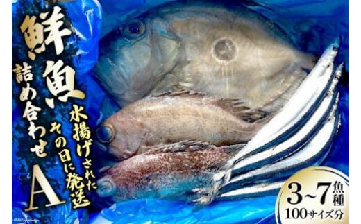 
										
										鮮魚 詰め合わせ A 3～7魚種 100サイズ分 [さんりくみらい 宮城県 気仙沼市 20563531] 産地直送 旬 魚介 魚 さかな レビューキャンペーン
									