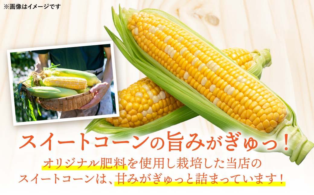 【先行予約】【2025年5月下旬より順次発送】スイートコーン10kg(22本～26本)_イメージ2