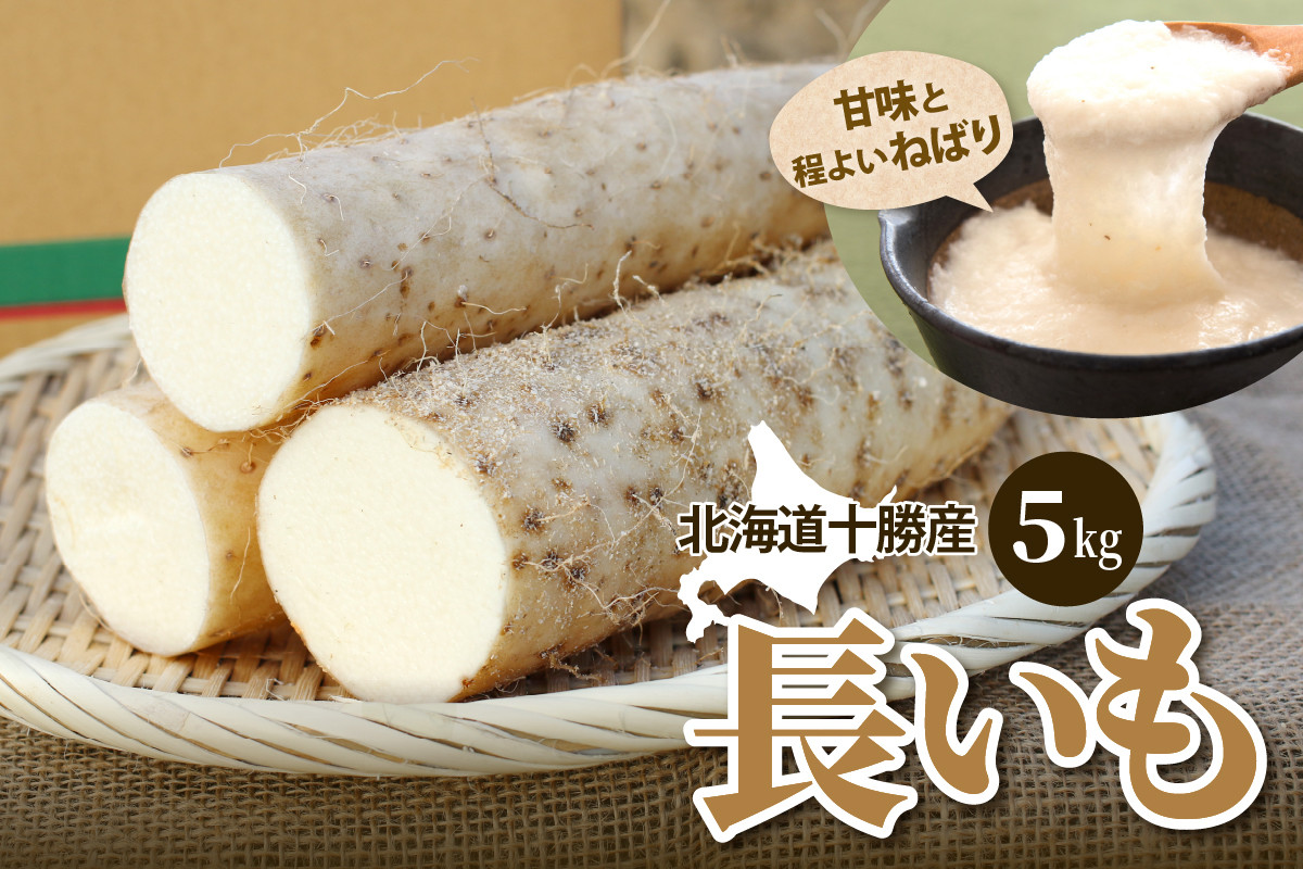 
            北海道十勝芽室町 ファーム・ミリオンの長芋　5㎏ me016-012c
          