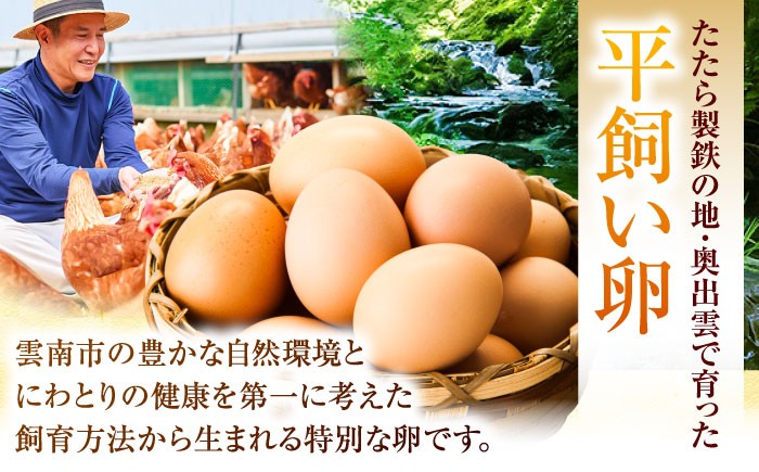  卵 放牧卵 鶏卵 生卵 国産 平飼い 放し飼い 卵焼き 卵かけご飯 お菓子作り