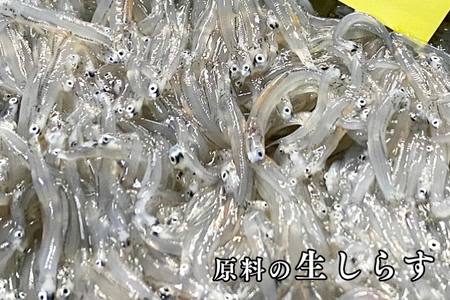 訳あり ちりめん 2kg (1kg×2) 規格外 不揃い 無選別 ちりめんじゃこ 天然 しらす シラス 訳アリ 魚介 わけあり 離乳食 大洗 茨城県_AG015