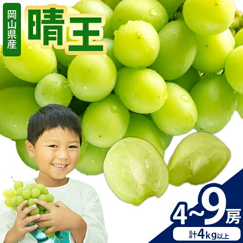 【2026年先行予約】シャインマスカット【晴王】 岡山県産 4～9房(計4kg以上) 株式会社Myself《2026年9月上旬-10月下旬頃出荷》マスカット 送料無料 岡山県 浅口市 ぶどう フルーツ 果物 贈り物 ギフト