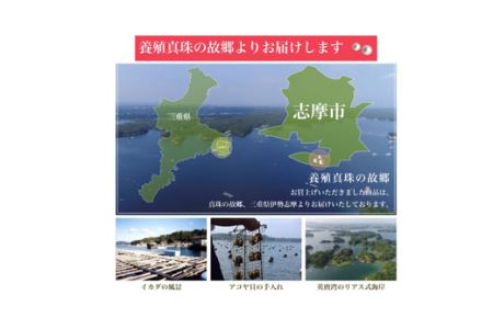 老舗の真珠専門店・花珠クラス・老舗の真珠専門店・花珠クラス・アコヤ真珠ブローチ9.0～9.5ミリ（イエローゴールド) あこや真珠 ブローチ 真珠 ブローチパール 伊勢志摩 志摩 アクセサリー ギフト 