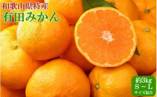 【秀品】和歌山有田みかん 約3kg（S～Lサイズ混合）【TM96】