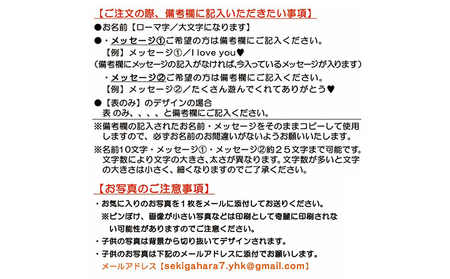 うちの子写真入りキーホルダー♪名前＆メッセージが入る！（デザインB） ピンク