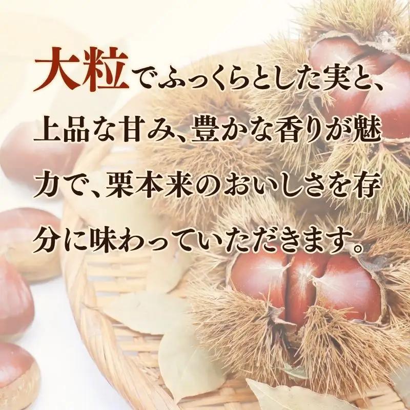 先行予約 2026年度産 丹波くり 約2kg 3Lサイズ 栗 京都