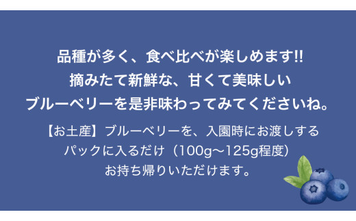 ブルーベリー狩り 体験チケット 《大人２名様プラン お土産付き》 ブルーベリー ベリー 食べ比べ 食べ放題 収穫 収穫体験 体験 チケット 招待券 レジャー 観光 旅行 ふれあい お土産 おみやげ 持