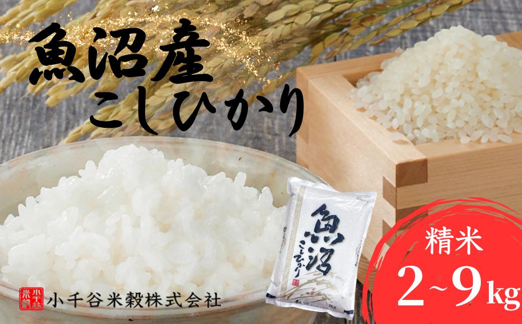 
                  コシヒカリ 令和7年産 魚沼産コシヒカリ 選べる数量 計2kg / 4kg / 5kg / 6kg / 9kg 小千谷米穀 | 新潟県産コシヒカリ 新潟県産こしひかり 魚沼コシヒカリ お米 米 こしひかり 白米 精米 ブランド米 特A評価 産地直送 新潟県 小千谷市【0002-BE00-01】
                