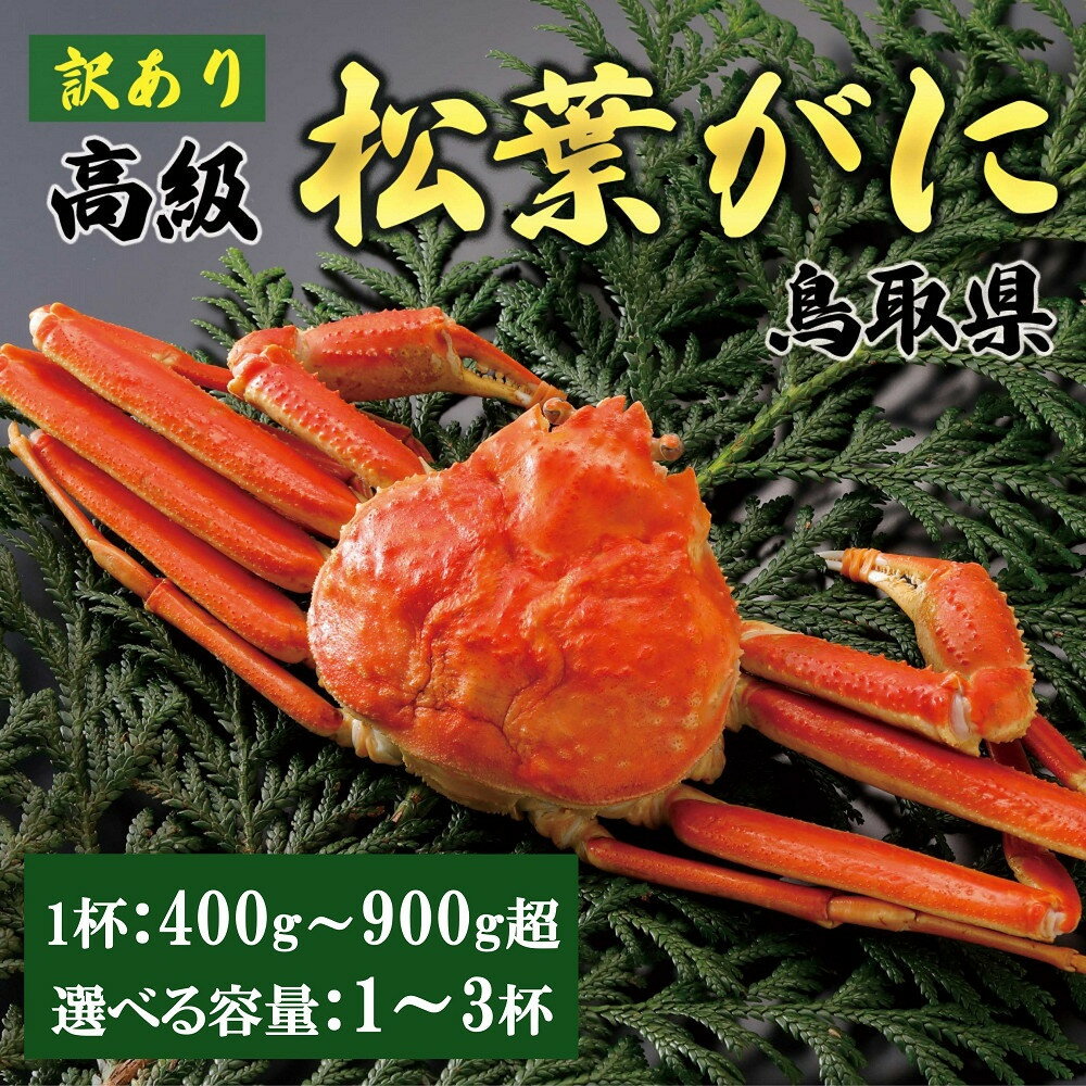 【ふるさと納税】内容量が選べる【2025年11月発送】特撰 松葉がに（茹）【訳あり】400g超～900g超の大きいサイズまで 食べ応えあり 1～3杯 | 蟹 かに 松葉ガニ 松葉蟹 ゆで蟹 茹で蟹 大きい蟹 訳あり カニ味噌 みそ 家庭用 鳥取県産 北栄町 おすすめ 人気