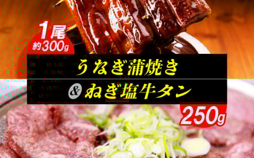 うなぎ蒲焼き1尾（約300ｇ）& ねぎ塩牛タン（250ｇ）のセット　KP6205