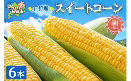 スイートコーン「恵味ゴールド」とうもろこし 6本｜ふるさと納税 北海道 石狩市 トウモロコシ とうきび トウキビ 恵みゴールド めぐみゴールド コーン イエローコーン 旬 旬の野菜 高糖度 甘い 人気 美味しい 北海道産 北海道直送スイーツ めぐみシリーズ