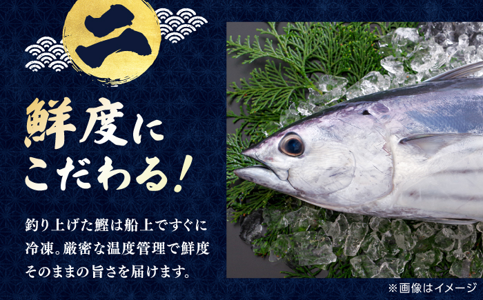 明神水産 藁焼き鰹 (カツオ) たたき 中2節 (約500g) セット 【株式会社 四国健商】 [ATAF047]