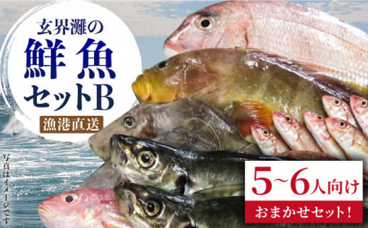 【3枚おろし希望する】福吉漁港直送！玄界灘の鮮魚セットB （5,6人向け） 《糸島》【福ふくの里】 [ALD002-1]