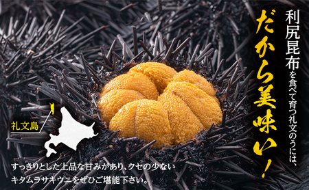 【礼文島リボンプロジェクト】北海道 礼文島産 採れたて キタムラサキウニ 塩水パック 50g×5 生うに 生ウニ 塩水うに 魚貝類 雲丹