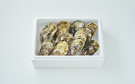 先行予約 【殻付き生牡蠣】大サイズ12個 冷蔵 生食 牡蠣