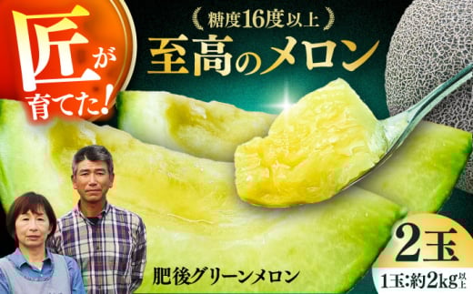 【先行予約】  山鹿の恵み! 匠の育てた　肥後グリーン メロン 約4kg以上（約2kg以上×2玉）【きもと農園】 [ZFQ001]