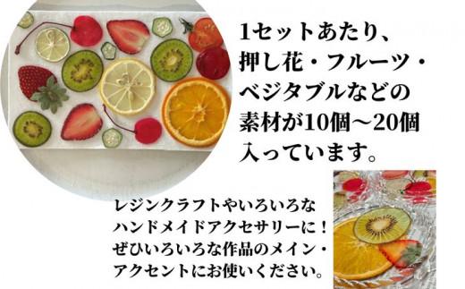 ハンドメイドパーツ 2種セット（押し花・押しフルーツ、押しベジタブル） 送料無料 ｜花　真空パック　セット　レジン　コラージュ　花材　素材　キット　DIY