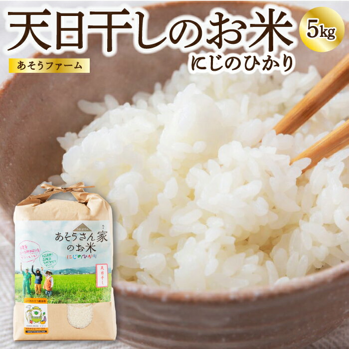【ふるさと納税】【令和7年産】天日干しのお米 (にじのひかり) 白米 5kg お米 米 コメ こめ 特別栽培米 エコ農産物認証 おにぎり 送料無料 福岡県 うきは市