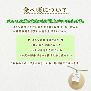 【2026年9月中旬発送開始】 マスクメロン 1玉 メロン フルーツ ギフト 果物 夏 季節限定 甘い おいしい 贈り物 お取り寄せ 産地直送 新鮮 熟成 国産 スイーツ デザート ジューシー 贈答用