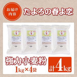 【B7028】＜北海道士別市産小麦＞ たよろの春よ恋 強力粉 ( 1kg×4袋・計4kg) 小麦 小麦粉 強力粉 春よ恋 北海道産 士別市産 国産 国産小麦粉 パン お菓子 料理 1kg【たよろ春小麦