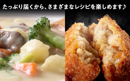 【10月発送！】【秋山農園】北海道産 レッドムーン5kg 野菜 いも 芋 じゃがいも 北海道ふるさと納税