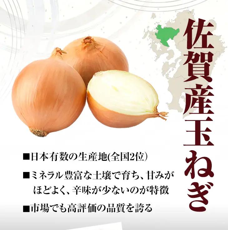 佐賀牛入合い挽きハンバーグ（150g×15個）ハンバーグ B120-062