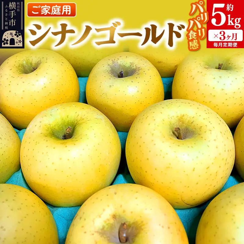 【先行受付】1月中旬より発送 《定期便3ヶ月》パリパリ食感シナノゴールド ご家庭用 約5kg（14～23玉前後）×3回 計15kg 3か月 3ヵ月 3カ月 3ケ月