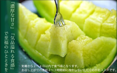 【毎月定期便】クラウンメロン(白等級) 小玉1玉 全4回 7124