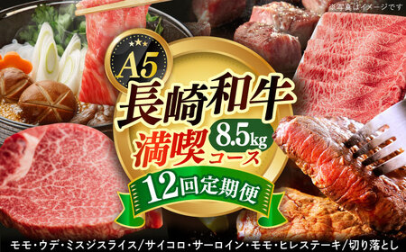 【12回定期便】 長崎和牛 満喫コース【肉の相川】 和牛定期便 牛肉定期便 長崎和牛 和牛食べ比べ 和牛堪能 満喫 切り落とし 40万円以上 小値賀 [DAR039]