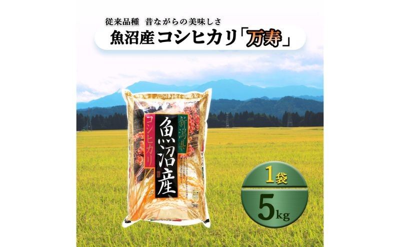 
            【先行予約】数量限定 従来品種 魚沼産コシヒカリ 精米 5kg 令和7年度米＜令和7年11月上旬～発送予定＞
          