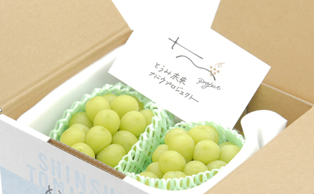 とうみの果物冬のフルーツ頒布会（３回コース）冬出しシャインマスカットといちごの頒布会 | シャインマスカットいちご信州シャインマスカットいちご定期便シャインマスカットいちごシャインマスカットいちご