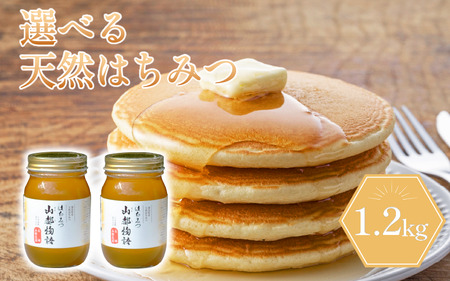 はちみつ 600g×2 1.2kg  国産 蜂蜜 ハチミツ ハチミツ ハチミツ