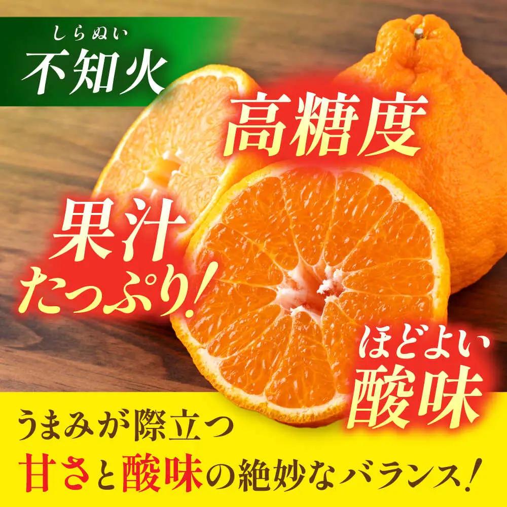 先行予約 ハウス栽培 不知火約3kg(7~12玉) 不知火みかんデコポンと同品種ZBN003