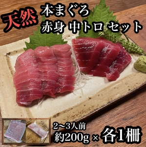 貴重な天然本鮪 赤身 約200g 中トロ 約200g 各1柵 2 3人前●赤身はマグロの中心部天身を使用！中とろの脂はくどくない上質な脂！【赤身 天身 惣菜 海鮮 お取り寄せ 御中元 お中元 お歳暮 父の日 母の日 贈り物 日本酒 焼酎 マグロ マグロ マグロ マグロ マグロ】【神奈川県小田原市早川】