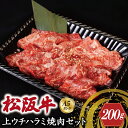 【ふるさと納税】特選A5 松阪牛 職人カットの上ウチハラミ 焼肉セット 自家製タレ付き（200g） 【焼肉和牛料理　金竹】お取り寄せ 送料無料 肉 牛 牛肉 和牛 ブランド牛 高級 国産 冷凍 人気 KT8