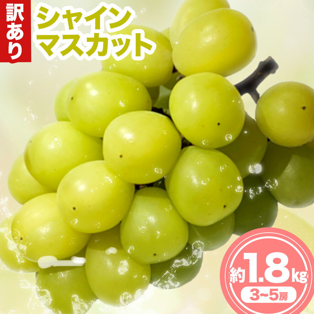 【ふるさと納税】訳あり シャイン マスカット 約 1.8 kg 《9月中旬-11月中旬出荷予定(土日祝除く)》広島県 神石高原町 果物 フルーツ ぶどう シャインマスカット 訳あり 送料無料