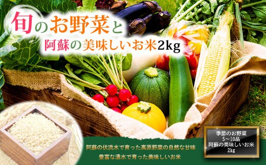 
										
										季節のお野菜セットとお米のセット
									