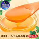 【ふるさと納税】標茶産しろつめ草の蜂蜜 300g×2本　【加工食品・ハチミツ】