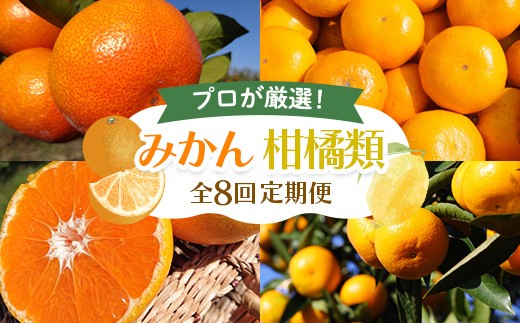 
                  【8回 頒布会】みかん 柑橘類 定期便 彩り柑橘 8回《10月温州みかん（極早生）からスタート》フルーツ フジカワ果樹園セレクト 果物 果物類 フルーツ FAH-0190
                