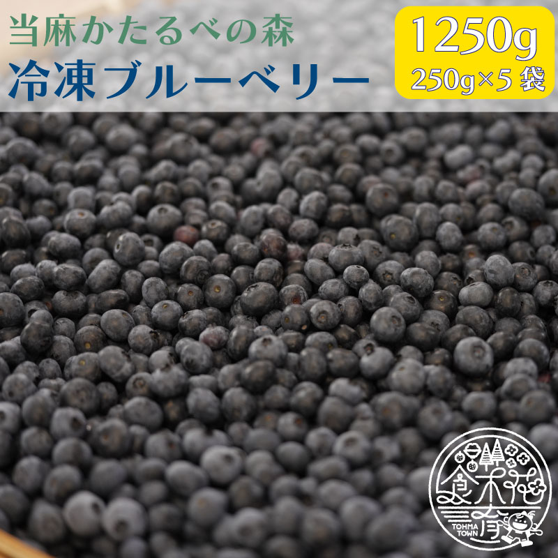 【ふるさと納税】冷凍 ブルーベリー 250g×5袋 1250g フルーツ 果物 北海道 当麻町 送料無料