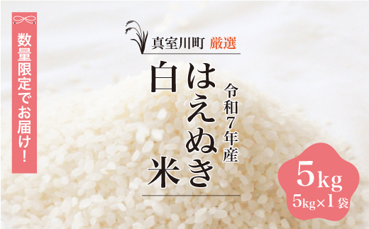 ★数量限定★ ＜令和7年産 はえぬき＞【白米】 5kg （5kg×1袋）＜配送時期指定可＞　真室川町
