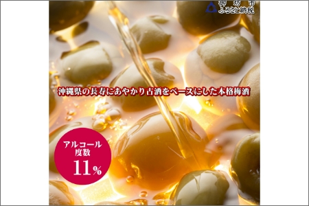 操～MISAO～　泡盛古酒梅酒　375ml（2本）