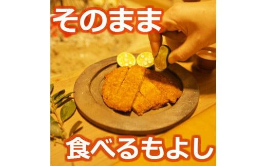 定期便 3回 フィッシュカツ 計 54枚 18枚 × 3ヵ月  冷蔵 徳島県 詰め合わせ おつまみ おやつ ソウルフード ご当地 グルメ 