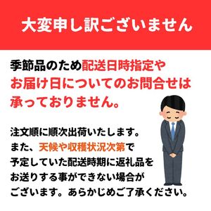 【訳あり】 もみじ 玉ねぎ 約10kg 松山市産【7月上旬頃～11月下旬頃発送予定】 | 玉ねぎ 松山市 【VEG056】