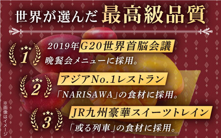 【先行予約】完熟プレミアム プリンセスマンゴー 3L×1玉 マンゴー まんごー フルーツ マンゴー プリンセスマンゴー 完熟マンゴー トロピカル マンゴー 長崎 マンゴーイチオシ マンゴー【堀内フルー