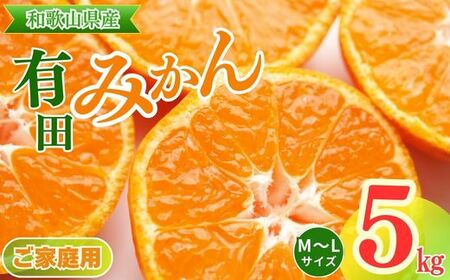 【ご家庭用】和歌山有田みかん約5kg(M、Lサイズ)【美浜町】〇 ※北海道・沖縄・離島への配送不可 ※2025年11月上旬～2026年1月下旬頃に順次発送予定