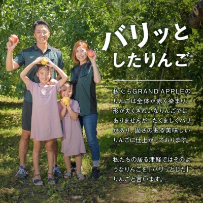 〈令和6年産　先行予約〉　皮ごとバリッ!　葉とらずサンつがる　特A　約3キロ【配送不可地域：離島・沖縄県】