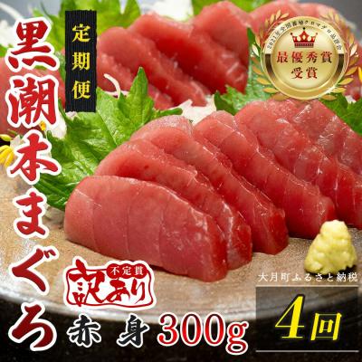 ふるさと納税 大月町 訳あり 不定貫 国産 黒潮本まぐろ 赤身 定期便 300g×4回