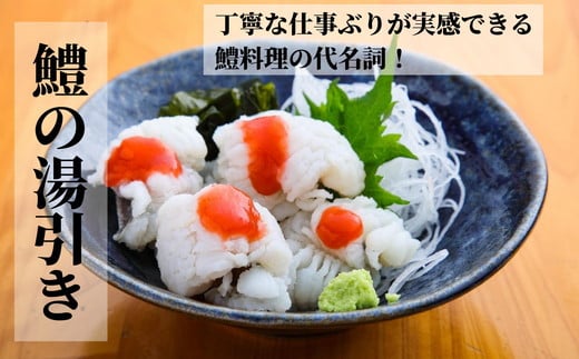 鱧 国産 ハモ 切り身 500g 冷凍 骨切り カット済 産地直送 魚介 海産物 魚 切り身 天然鱧 お取り寄せ グルメ 湯引き 蒲焼き 天ぷら しゃぶしゃぶ 鍋 お吸い物 酒蒸し ※北海道･東北･沖