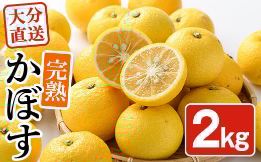 ＜先行予約受付中！2025年11月中旬より順次発送予定＞完熟かぼす(約2kg)かんきつ 柑橘 期間限定 おもとの丘【111300300】【未来農林】